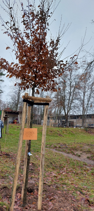 foto4.jpg